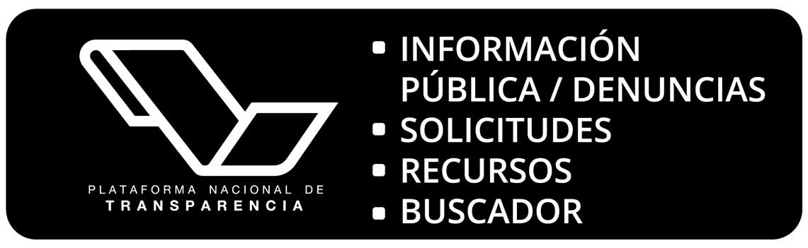 Plataforma Nacional de Transparencia