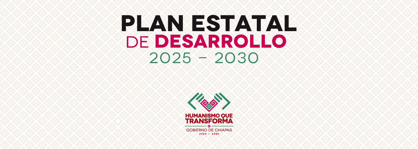 Plan Estatal 2025-2030
